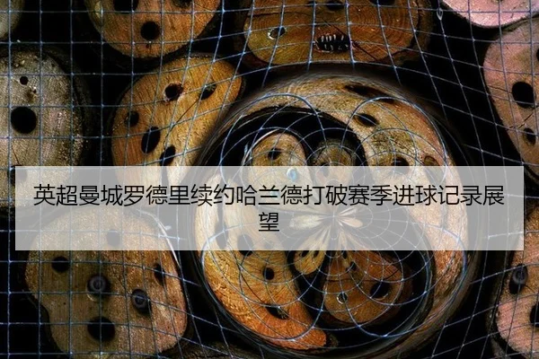 英超曼城罗德里续约哈兰德打破赛季进球记录展望
