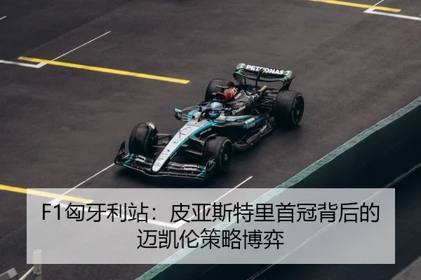 xiong-ya-li-zhan-pi-ya-si-te-li-shou-guan-bei-hou-de-mai-kai-lun-ce-lve-bo-yi-3-772.jpg