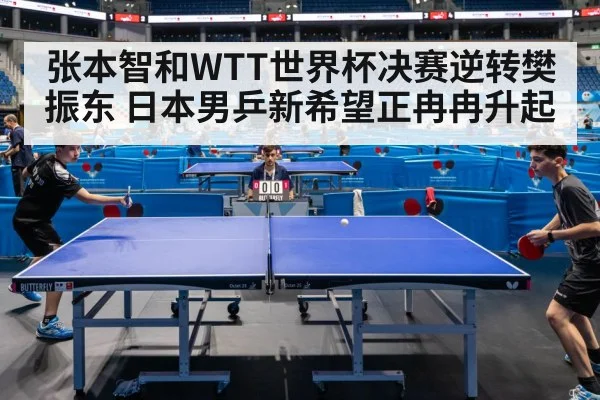 张本智和WTT世界杯决赛逆转樊振东 日本男乒新希望正冉冉升起